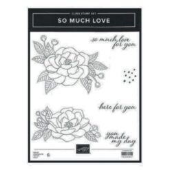 So Much Love</br> (gently used)