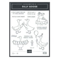 Silly Goose</br>(gently used)
