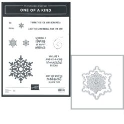 One of a Kind Bundle</br>(gently used)