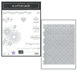 A Little Lace Bundle</br>(gently used)
