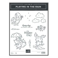 Playing in the Rain
