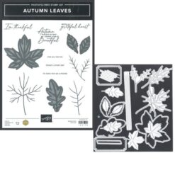 Autumn Leaves Bundle</br>(gently used)