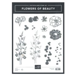 Flowers of Beauty