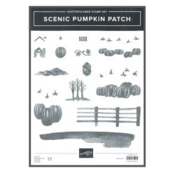 Scenic Pumpkin Patch