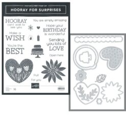 Hooray for Surprises Bundle</br>(gently used)
