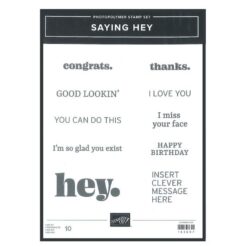 Saying Hey </br>(gently used)