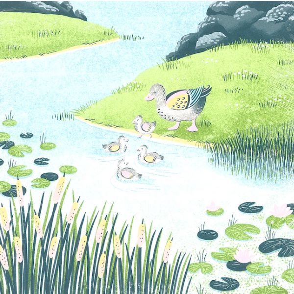 Lily Pond Lane DSP