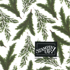 Graceful Greenery Vellum DSP